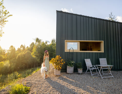 10 Easy Eco-Friendly Daily Routines to Reduce Your Carbon Footprint (California Guide)